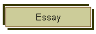 Essay