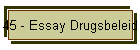45 - Essay Drugsbeleid